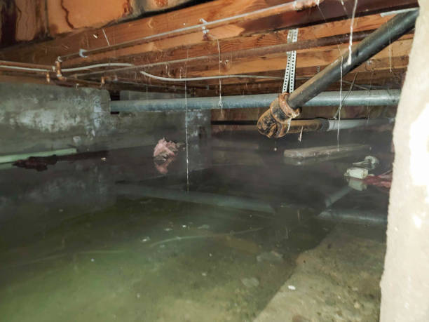  Swifton, AR Water damage restoration Pros