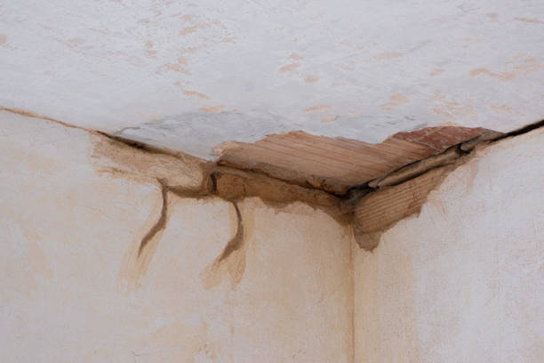 Best Professional water damage repair  in Swifton, AR